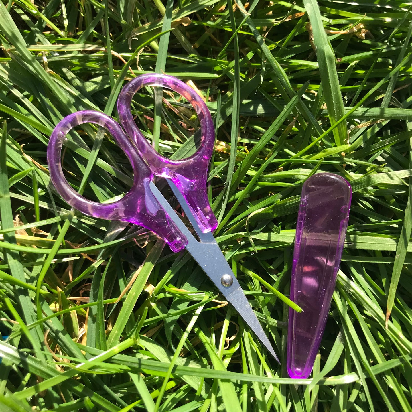 The Elektra,Cleo,Neona,Starla,Nero scissors