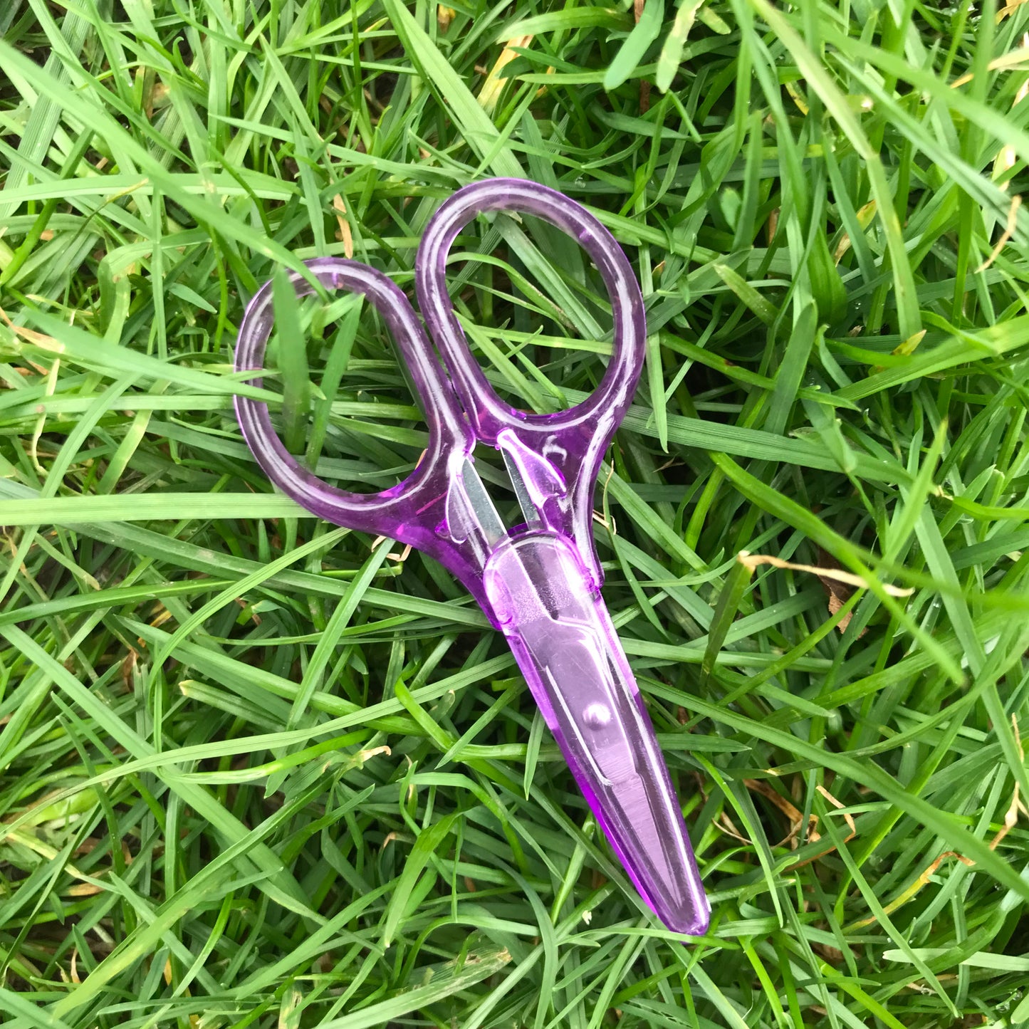 The Elektra,Cleo,Neona,Starla,Nero scissors