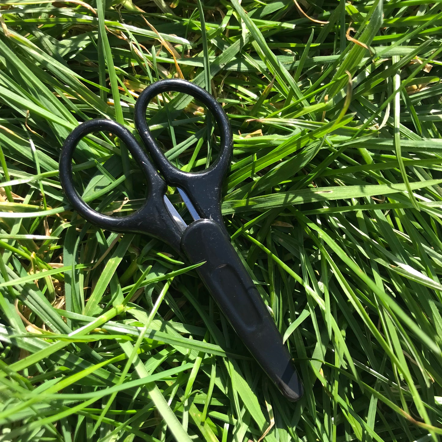 The Elektra,Cleo,Neona,Starla,Nero scissors