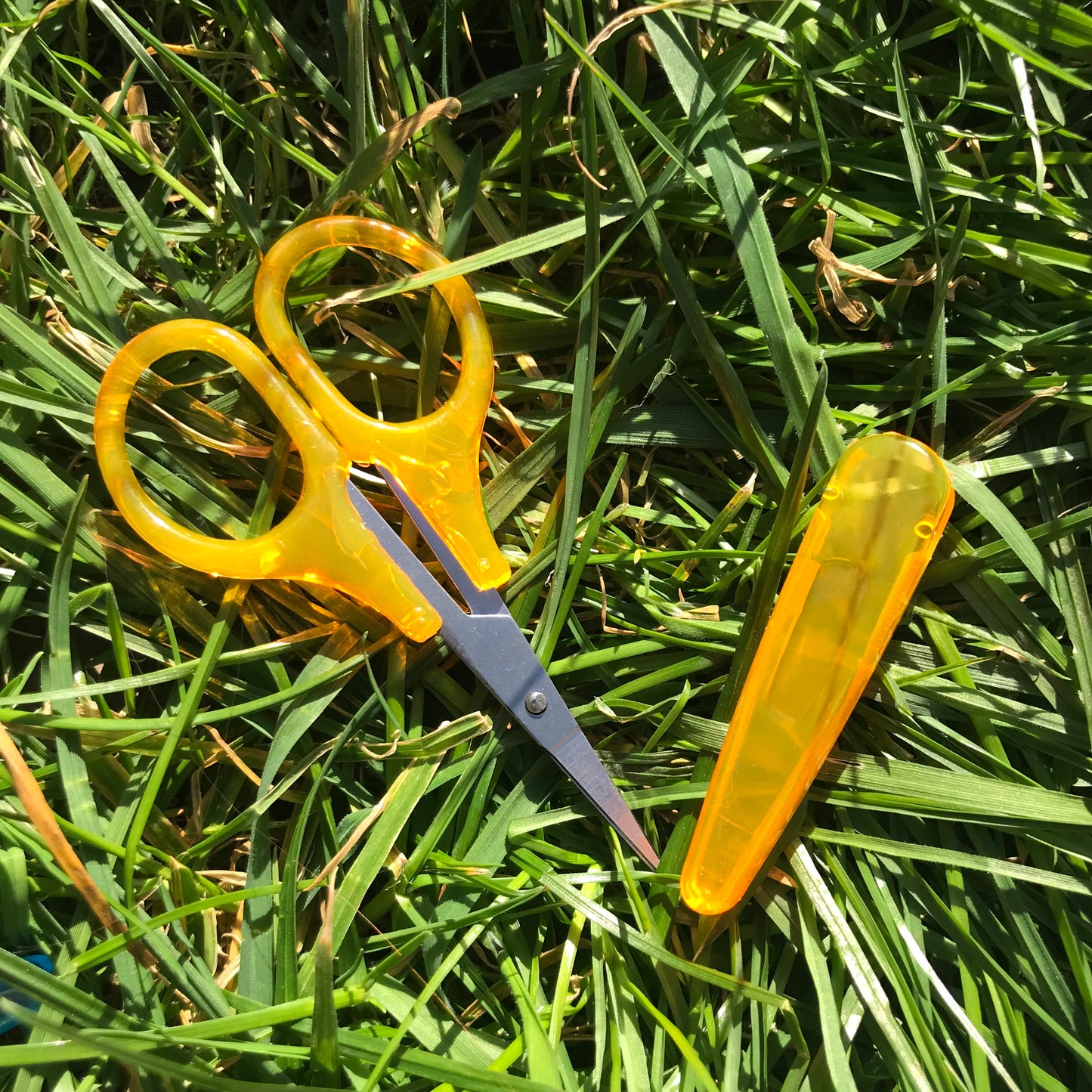 The Elektra,Cleo,Neona,Starla,Nero scissors
