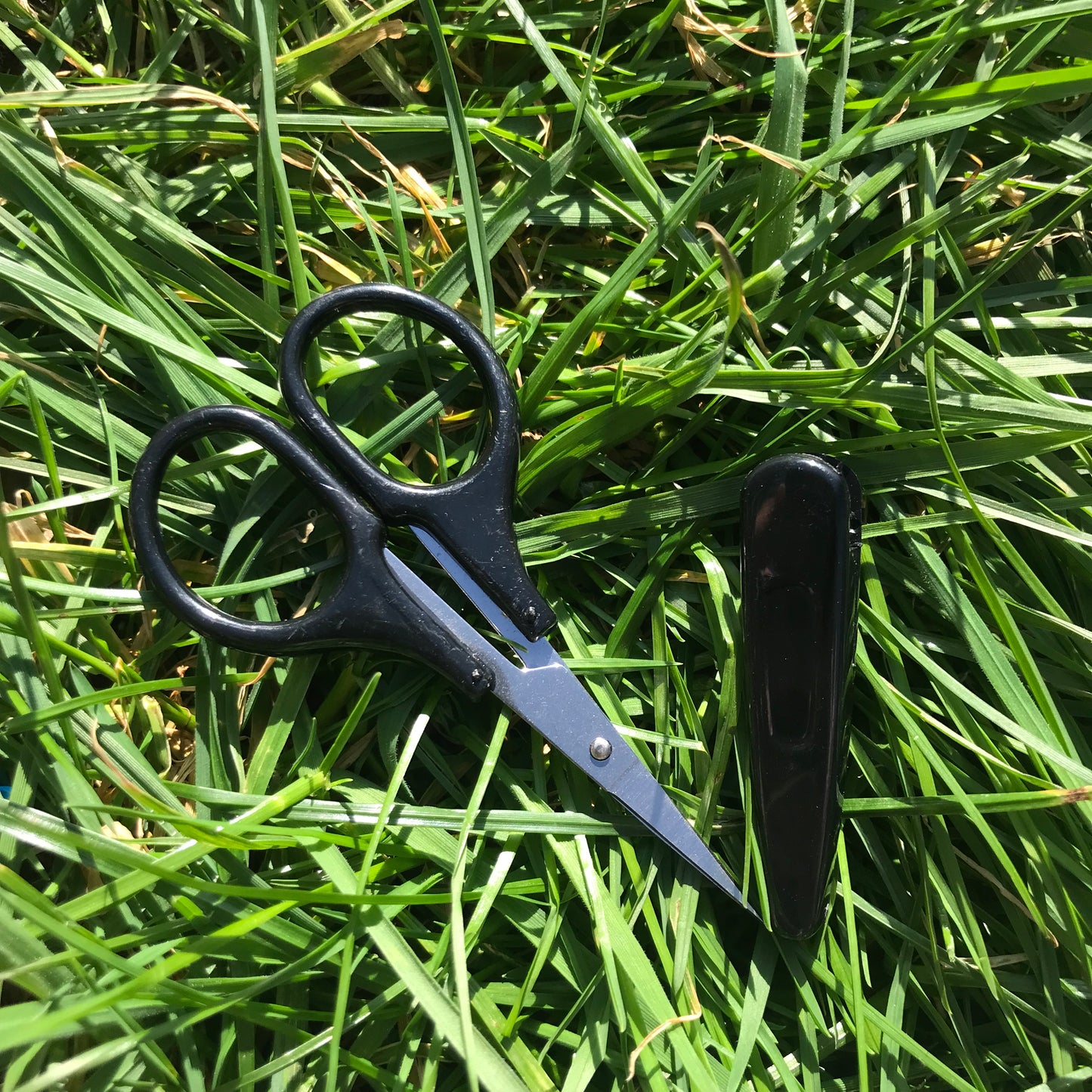 The Elektra,Cleo,Neona,Starla,Nero scissors