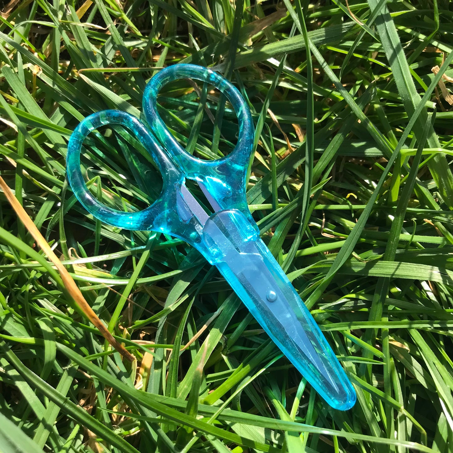 The Elektra,Cleo,Neona,Starla,Nero scissors