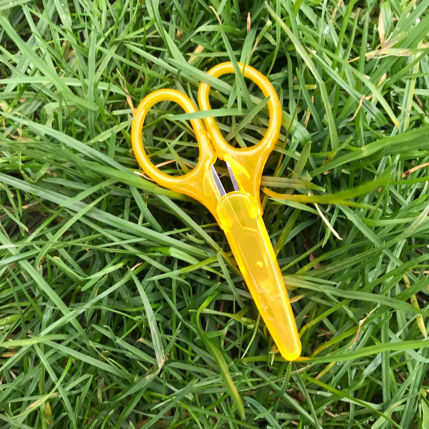 The Elektra,Cleo,Neona,Starla,Nero scissors